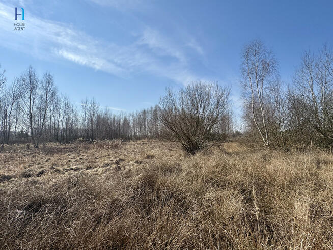 Działka inwestycyjna Nieborów, Wschodnia