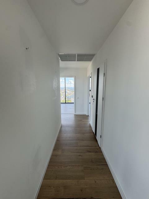 Mieszkanie Szczecin Centrum, Wyzwolenia