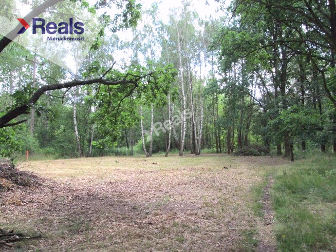 Działki budowlane z MPZP, oferta dla developera