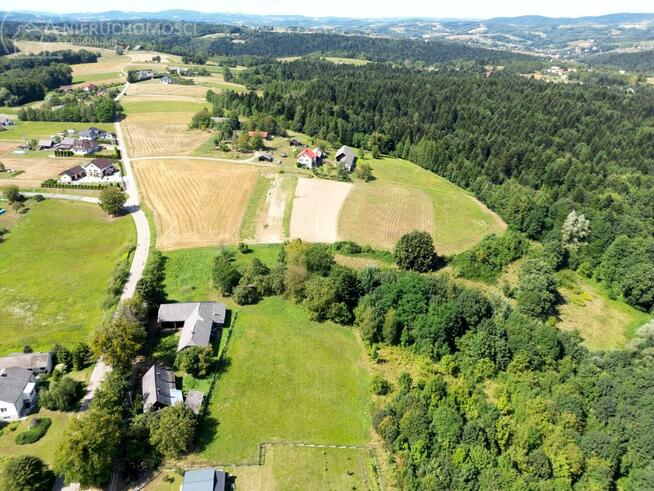 Działka budowlana Turza gm. Rzepiennik Strzyżewski