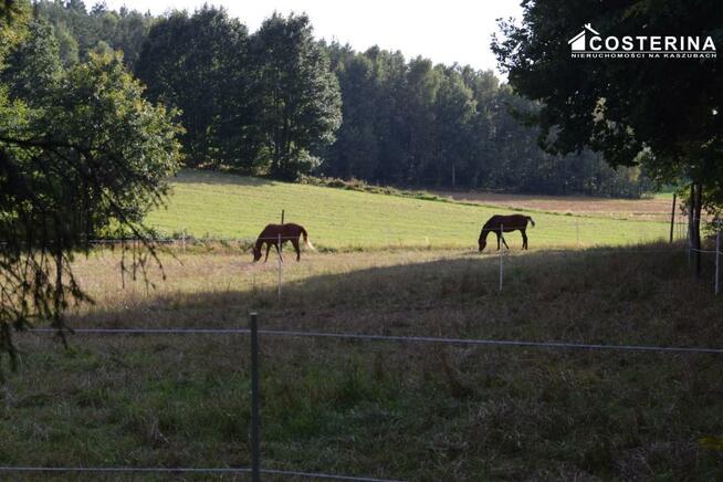 Dom Gołubie gm. Stężyca