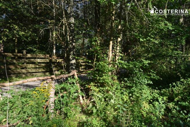 Dom Gołubie gm. Stężyca