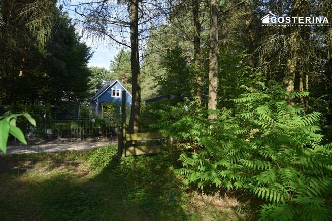 Dom Gołubie gm. Stężyca