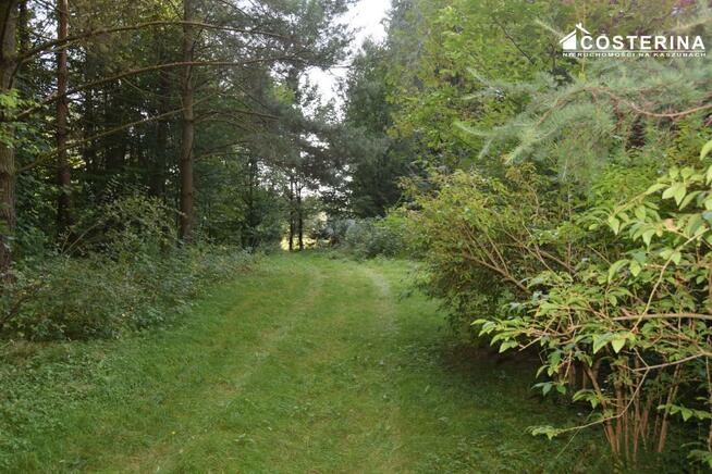 Dom Gołubie gm. Stężyca