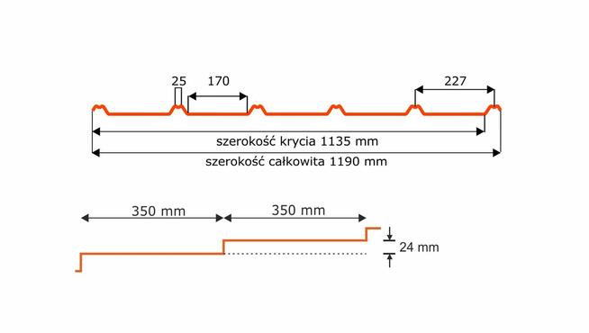 Blachodachówka Passa płaska