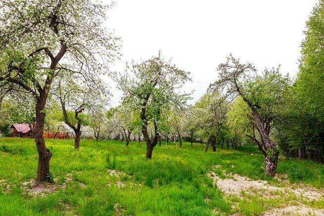 Okazja! Działka rolno-rekreacyjna