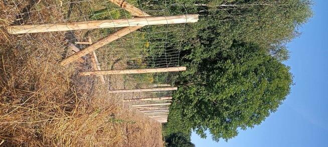 Mycie, czyszczenie kostki brukowej