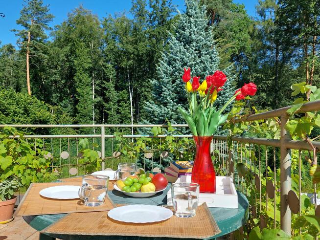 Dom na sprzedaż/ Landek gmina Jasienica