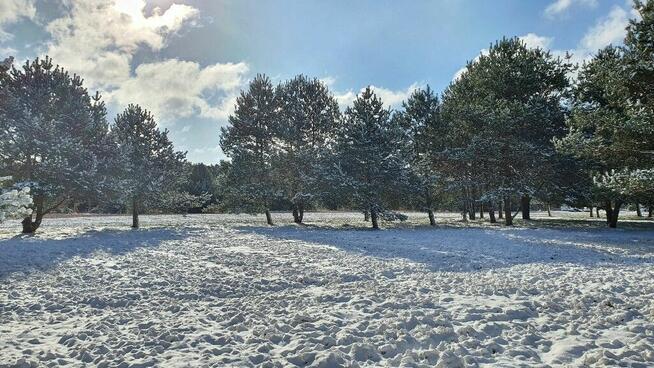 Działki nad rzeką – inwestycja/wypoczynek, Bałtów, Jura Park