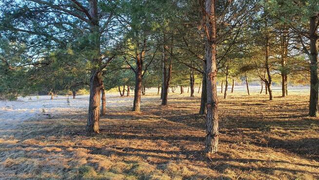 Działki nad rzeką – inwestycja/wypoczynek, Bałtów, Jura Park