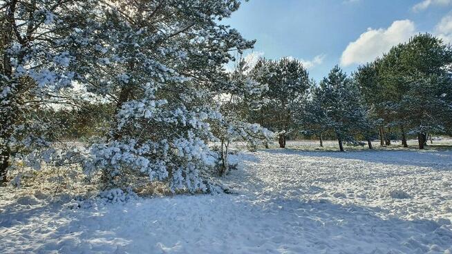 Działki nad rzeką – inwestycja/wypoczynek, Bałtów, Jura Park
