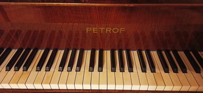 Fortepian Petrof 1950-1951