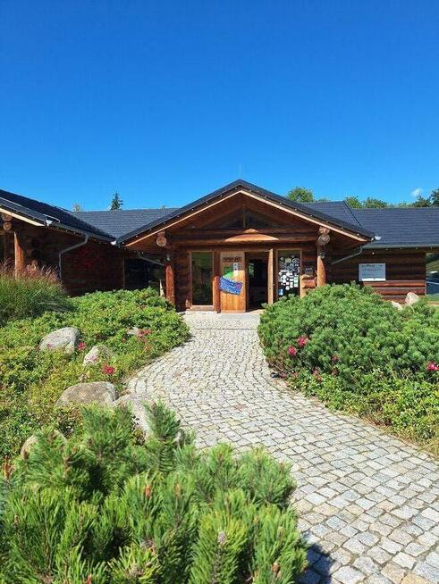 Recepcjonista & Koordynator Marketingu w górskim kempingu Ca