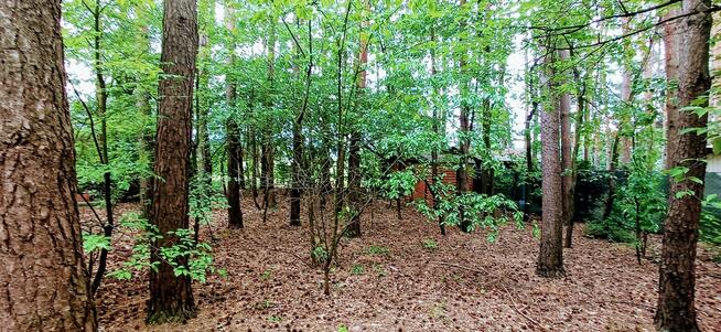 Tania działka budowlana blisko Łodzi i Pabianic