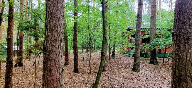 Tania działka budowlana blisko Łodzi i Pabianic