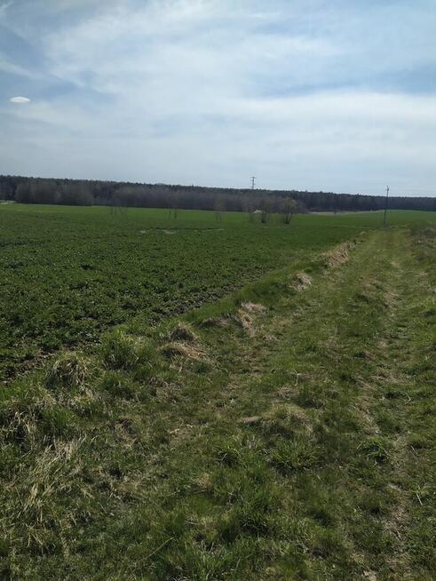 Działka budowlana 3942 m², Myszków, spokojna okolica