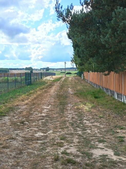 Działka budowana Łęg Ręczyński- Placówki gm. Ręczno