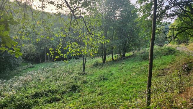 Działka rolno-rekreacyjna z prądem, przy strumyku