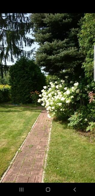 Działka rekreacyjna