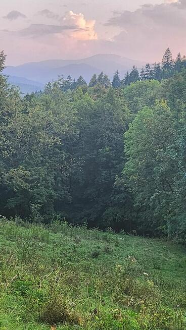 Działka rolno-rekreacyjna z prądem, przy strumyku