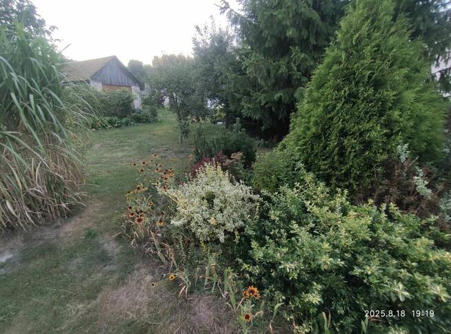 Dom w Wielkiej Wsi gm. Stąporków