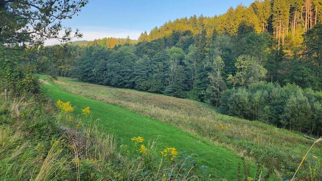 Działka o powierzchni 1,65 ha w miejscowości Lutynia