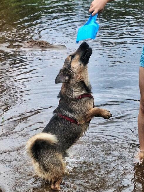 Kapsel - młody, niewielki, przyjazny, rodzinny