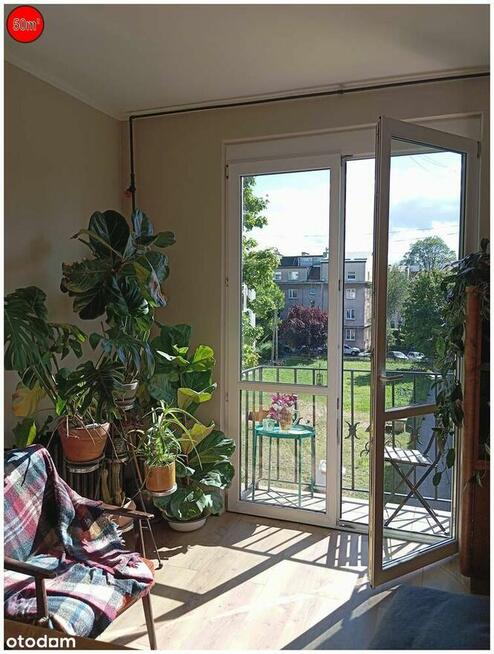 Wrzeszcz 50m2 Po Remoncie Bez Pośredników