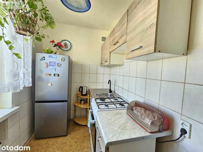 Mieszkanie, 31,50 m², Sosnowiec