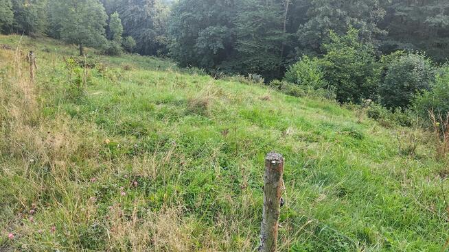 Działka rolno-rekreacyjna z prądem, przy strumyku