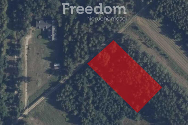 Działka 31,4 ar przy ul. Sosnowej w Dąbrówce Ług