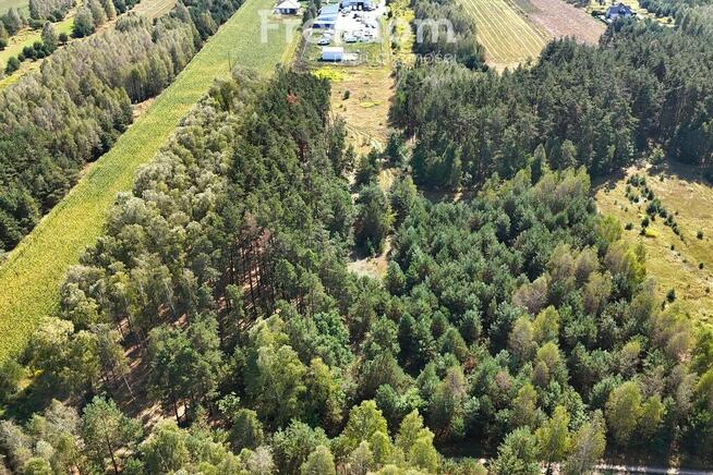 Działka 31,4 ar przy ul. Sosnowej w Dąbrówce Ług