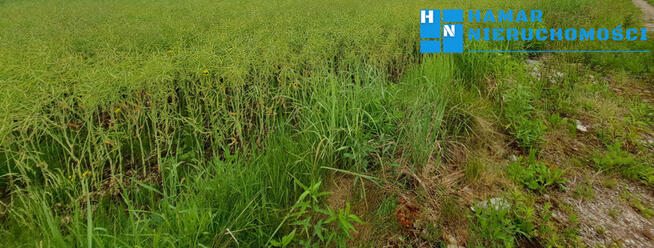 Działka w malowniczej miejscowości Łady