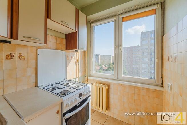 Mieszkanie Tarnów, Spadzista