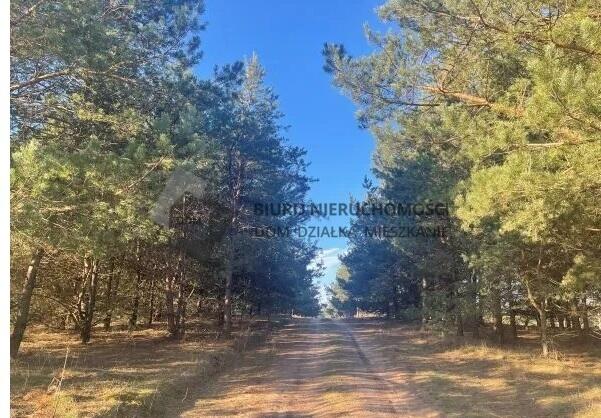 Działki nad najczystszym jeziorem w Polsce.