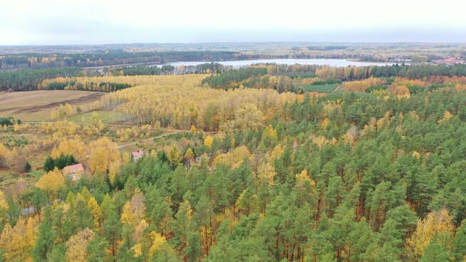 Działka budowlana Rydzewo gm. Miłki, Mazurska
