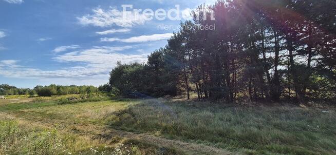 Ekskluzywna działka rezydencjonalna – 50 arów z MP