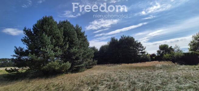 Ekskluzywna działka rezydencjonalna – 50 arów z MP