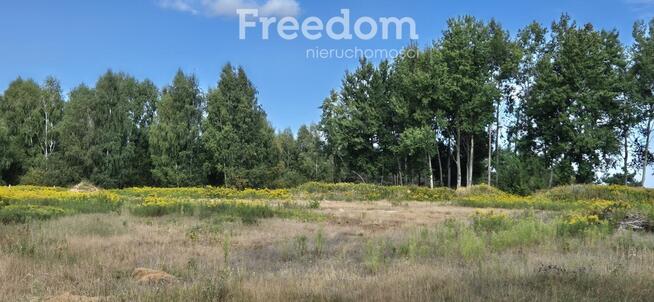Ekskluzywna działka rezydencjonalna – 50 arów z MP