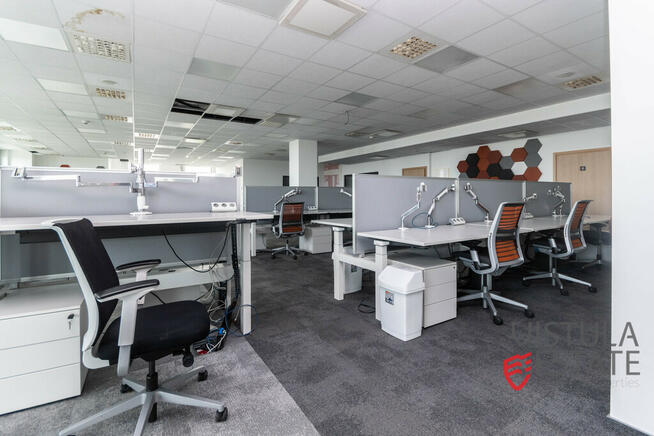 BIURO 619 M2 | WYSOKI STANDARD