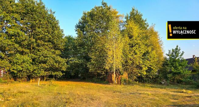 Działka inwestycyjna Niedźwiedź gm. Bogoria,