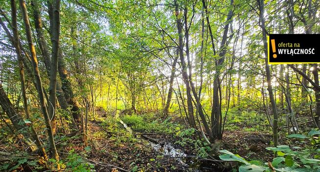 Działka inwestycyjna Niedźwiedź gm. Bogoria,