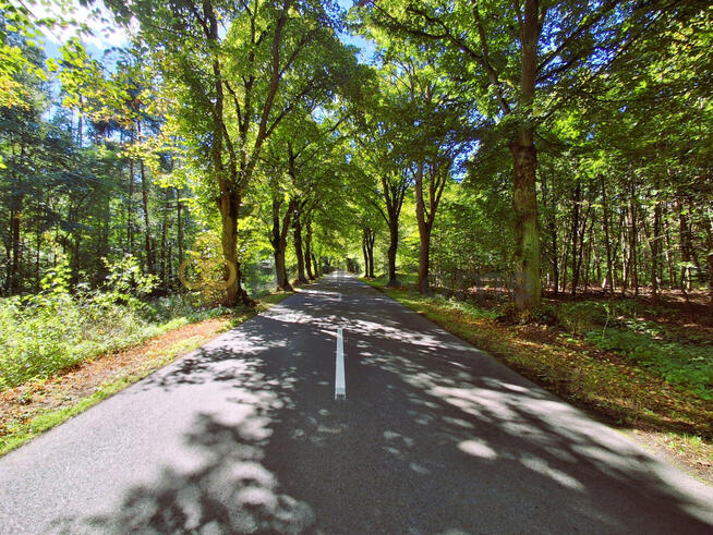 Działka budowlana Cibórz gm. Skąpe,