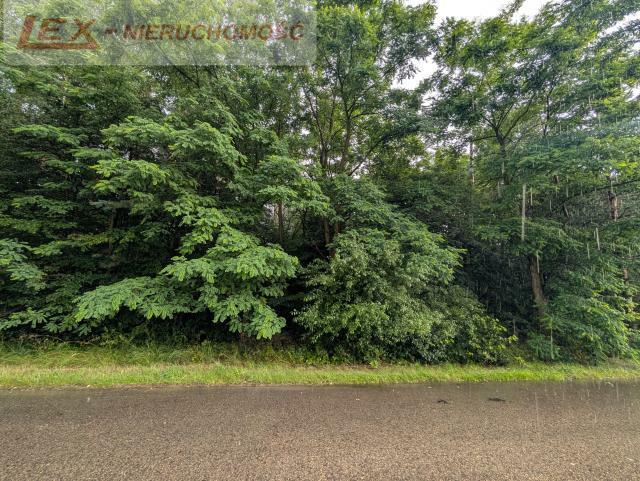 Działka budowlana Mitręga gm. Łazy