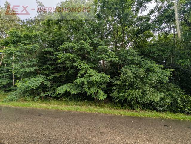 Działka budowlana Mitręga gm. Łazy