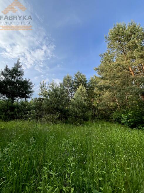 Działka budowlana Rydzynki gm. Tuszyn