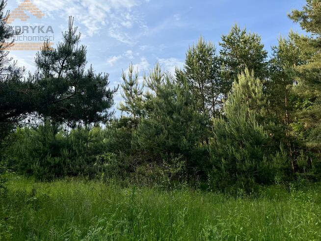 Działka budowlana Rydzynki gm. Tuszyn