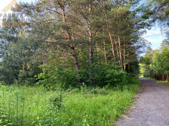 Działka budowlana Rydzynki gm. Tuszyn