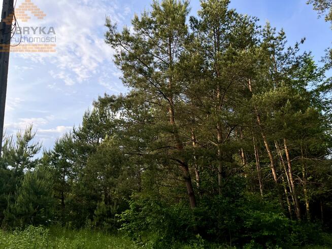 Działka budowlana Rydzynki gm. Tuszyn