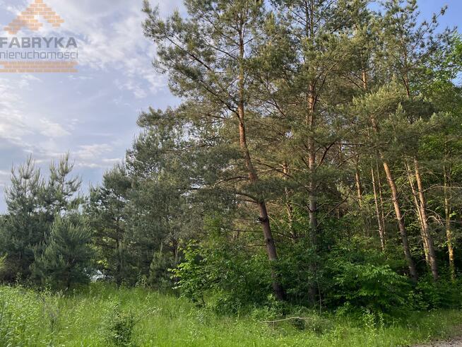 Działka budowlana Rydzynki gm. Tuszyn